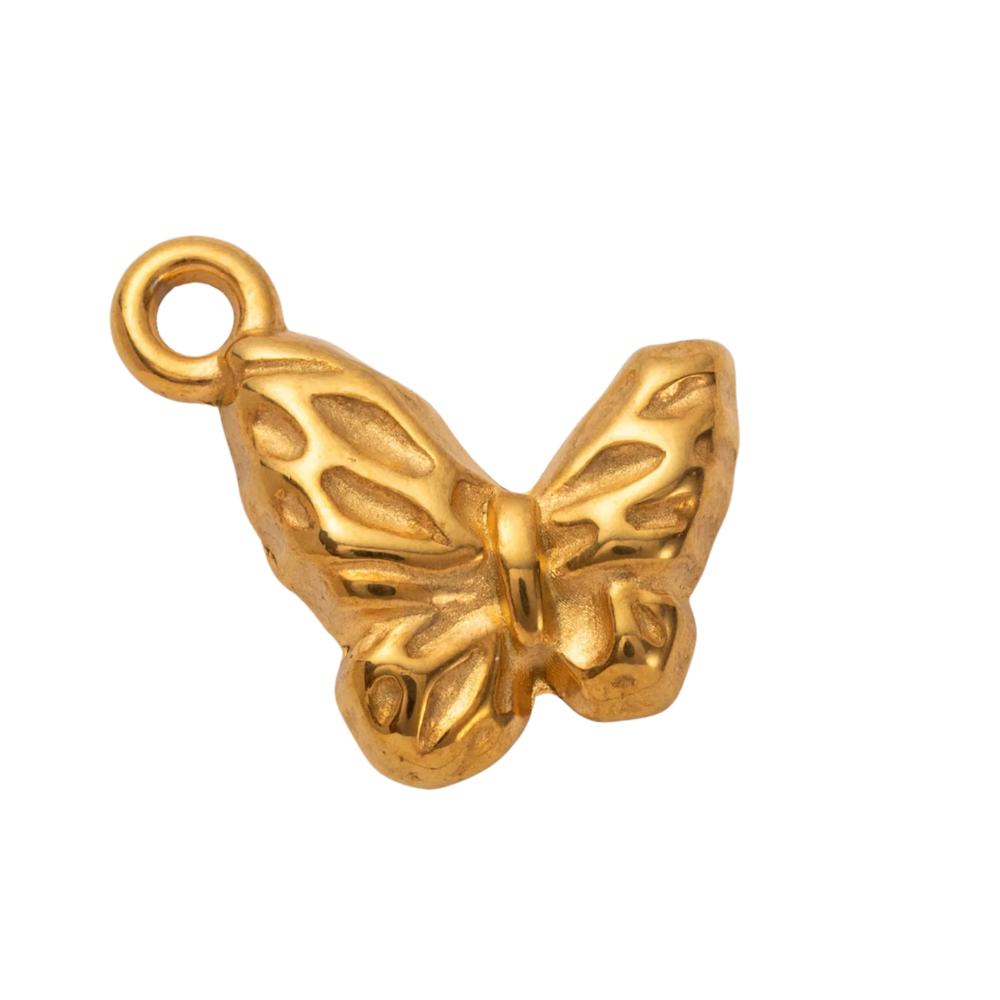 Charme des ailes du changement