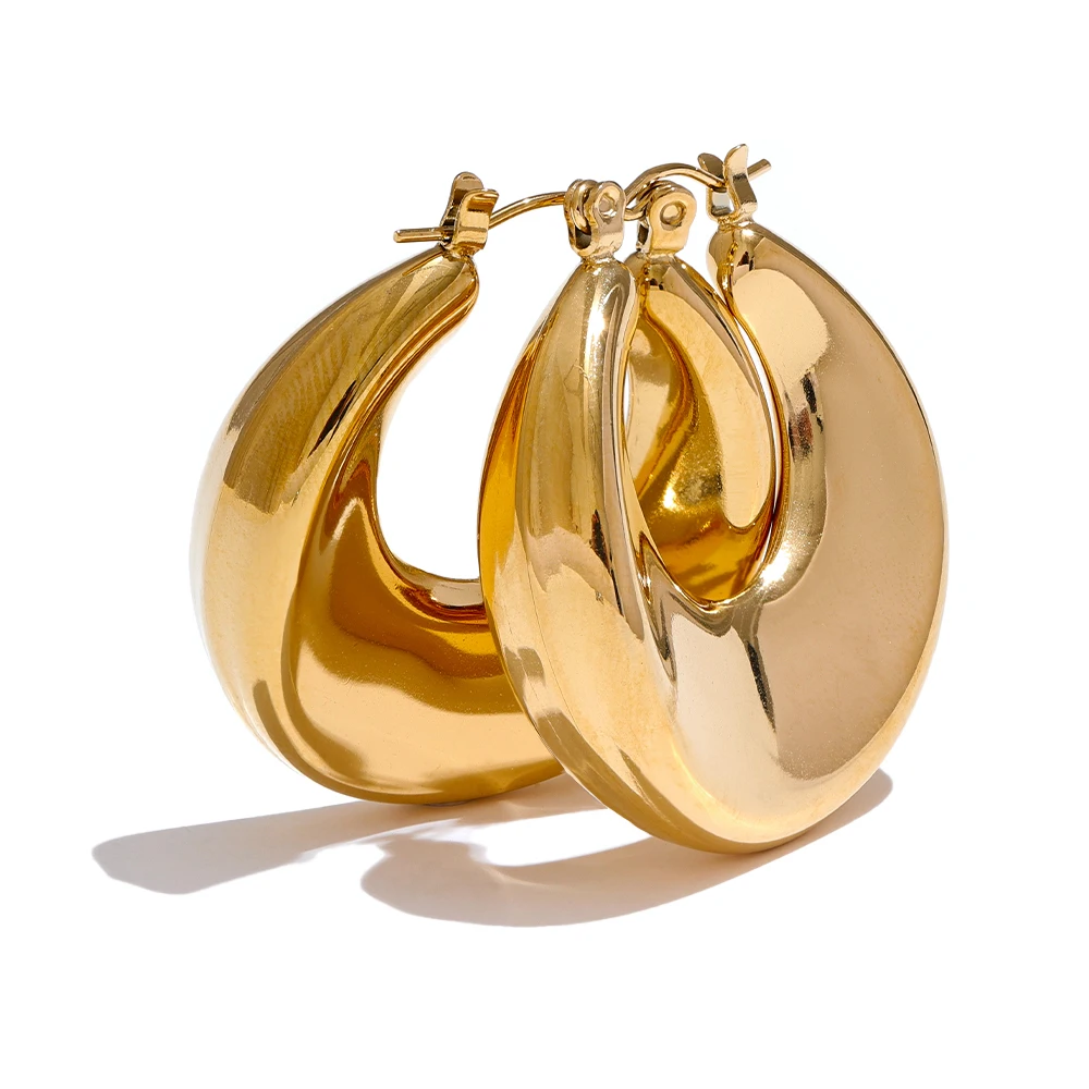 Hoops earrings