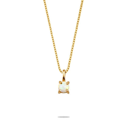 Collier chaîne renforcé