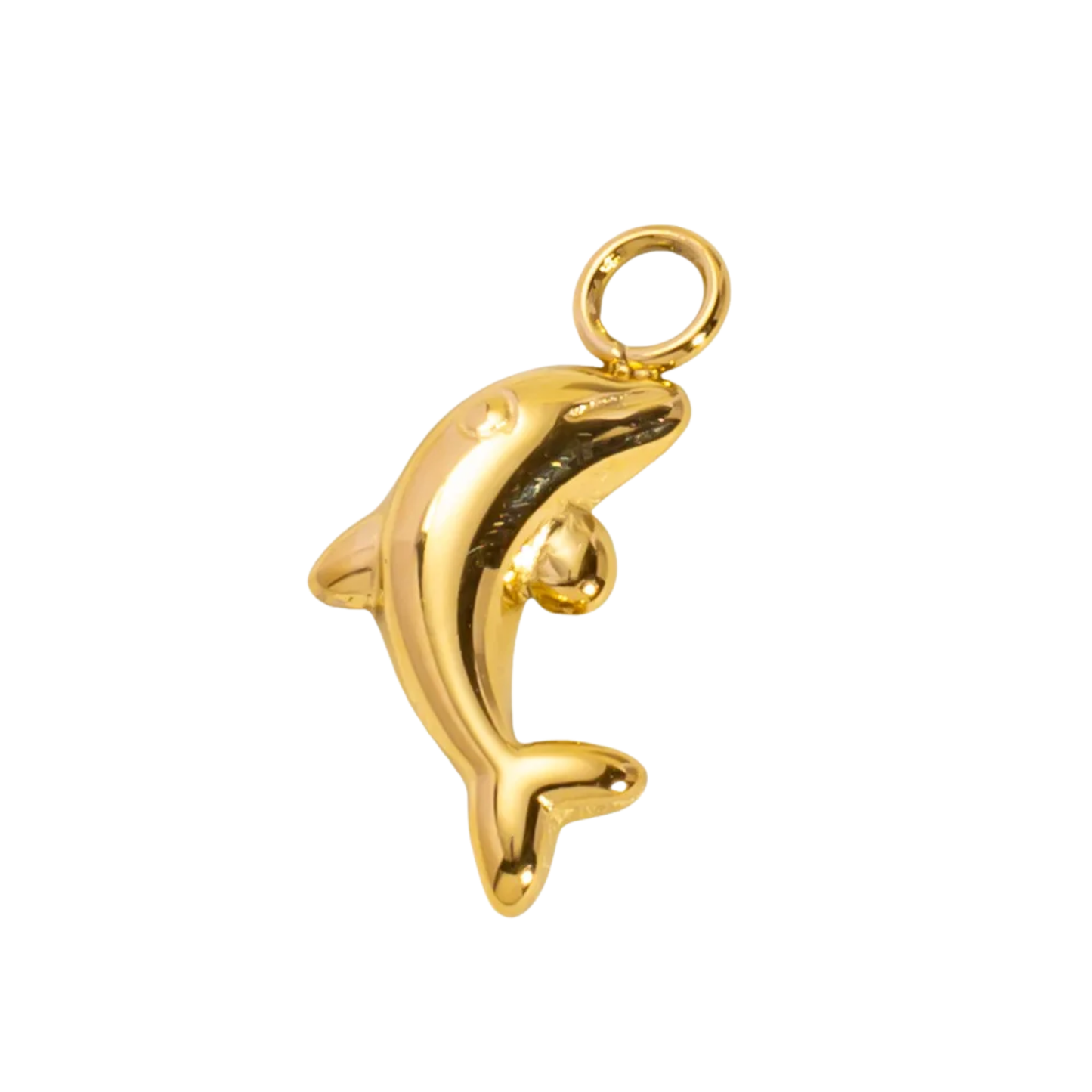 Dolphin Shine Charm