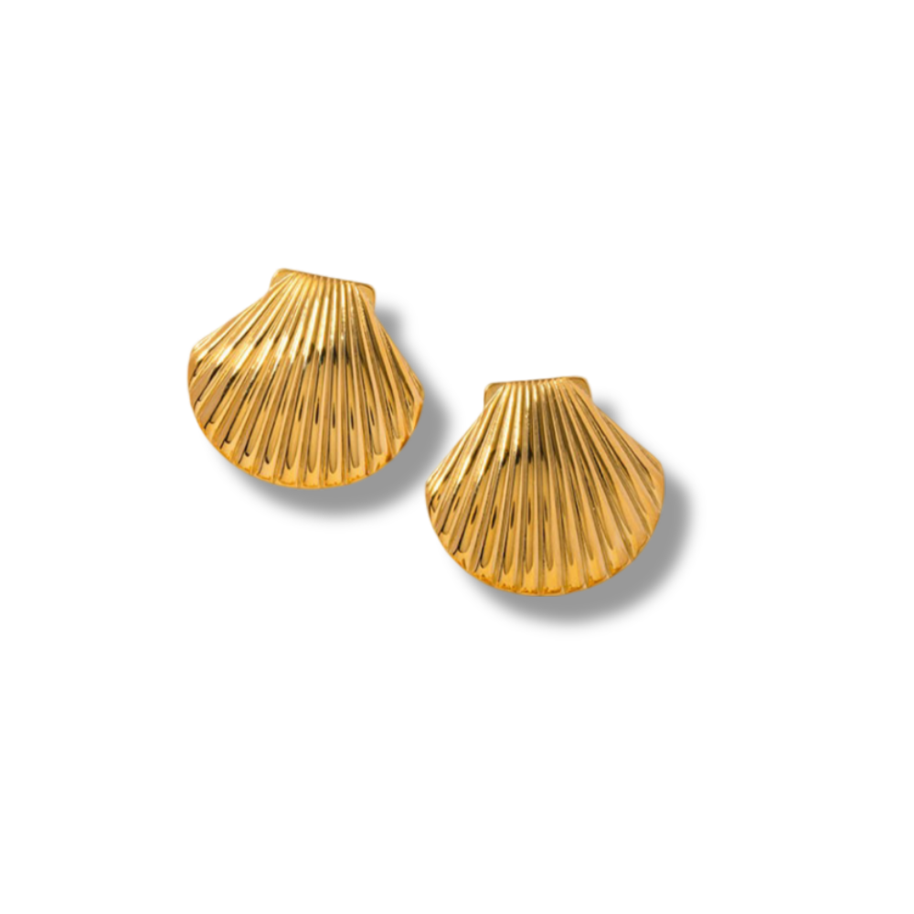 Clam shell Earrings