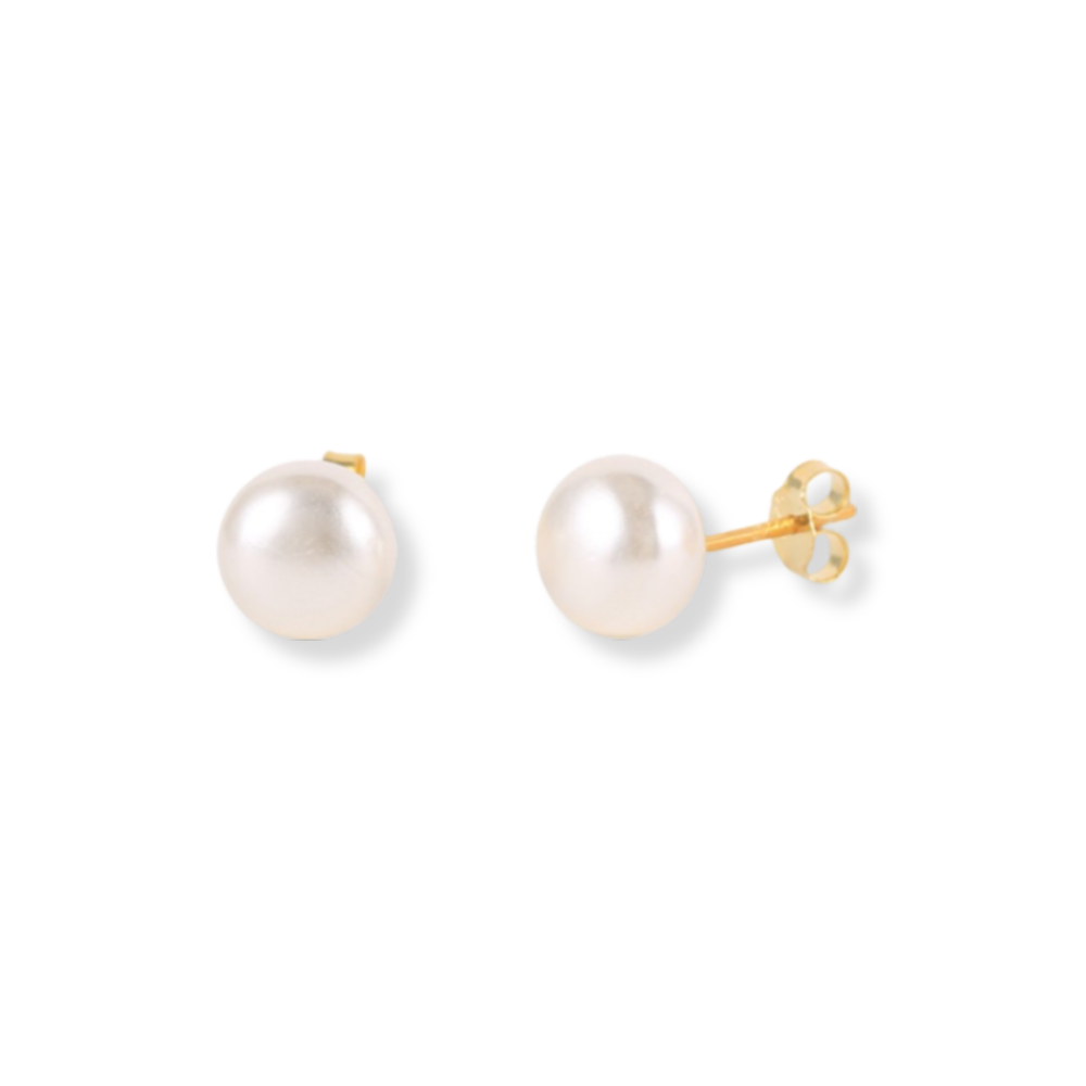 Agave deserti Earrings