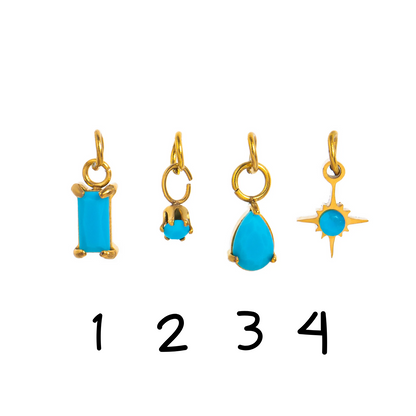 Zarina Charm - December