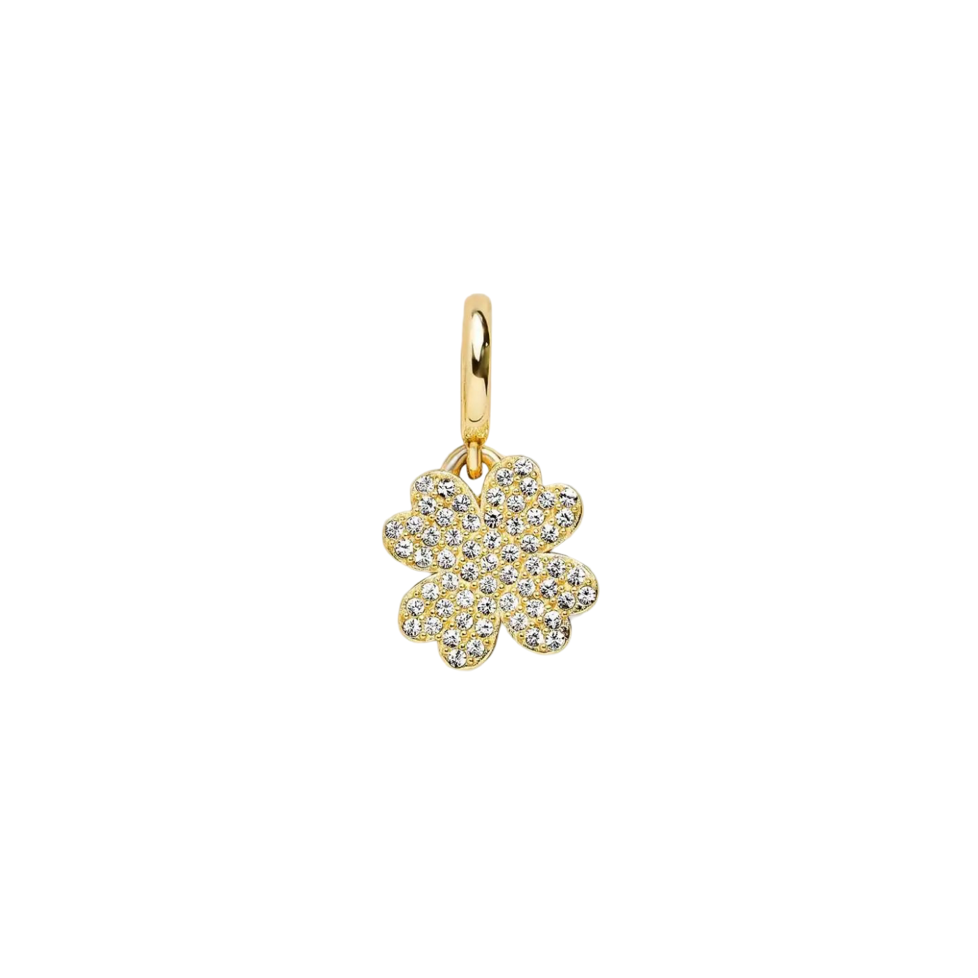 Shining leaf Charm