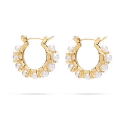 Elegant Earrings